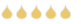 SSSSS
